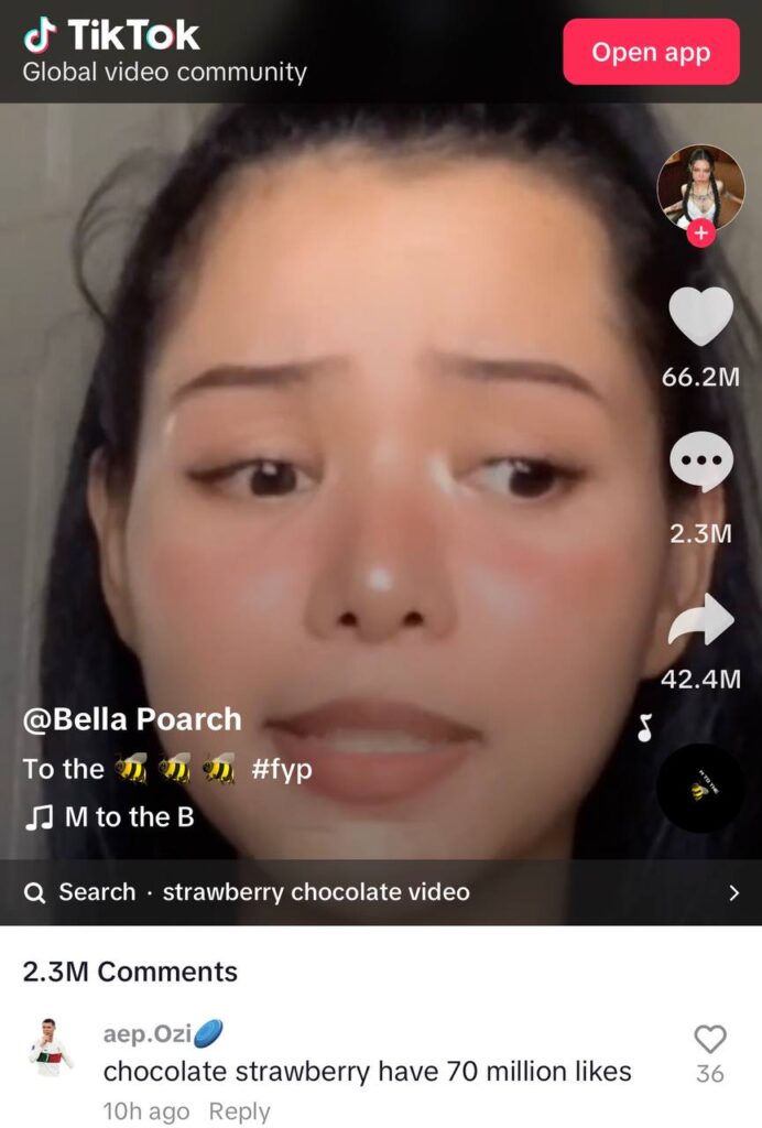 Bella Porch TikTok page