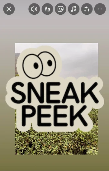Sneak Peek Stickers