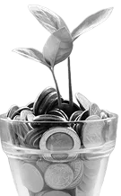 Low transparent fees